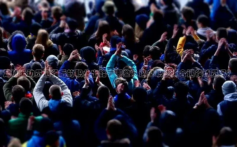 米兰app官方app下载网易足球运动员退役后的职业出路有哪些？这些职业适合退役球员吗？