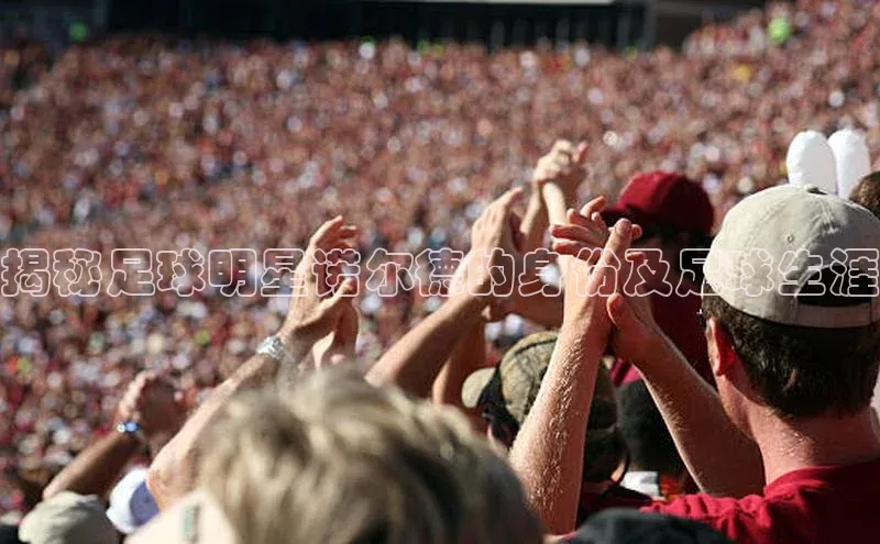 米兰官方手机app网站天键股份揭秘足球明星诺尔德的身份及足球生涯