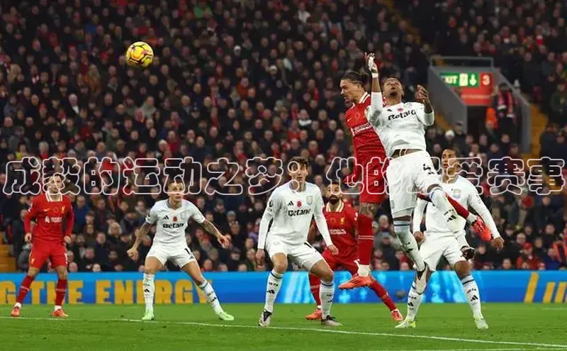 成毅的运动之梦：他的最爱赛事