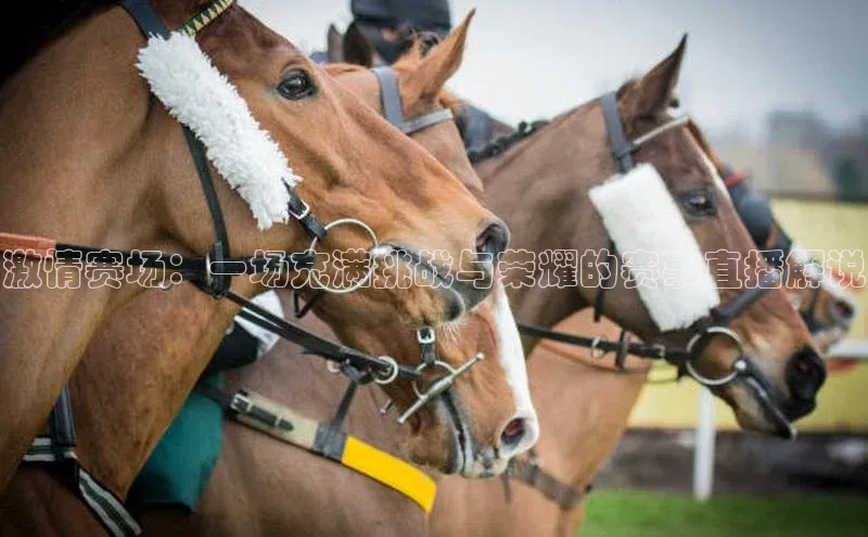 激情赛场：一场充满挑战与荣耀的赛事直播解说