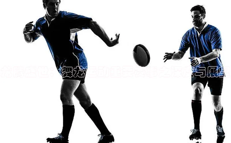 龙腾盛世：舞龙运动重要赛事之深度与展望