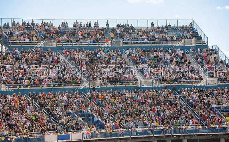 智力运动对决：策略与速度的完美结合