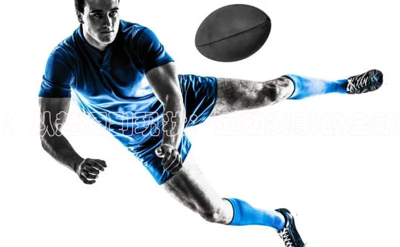 ：从起源到现状：运动赛事的全貌