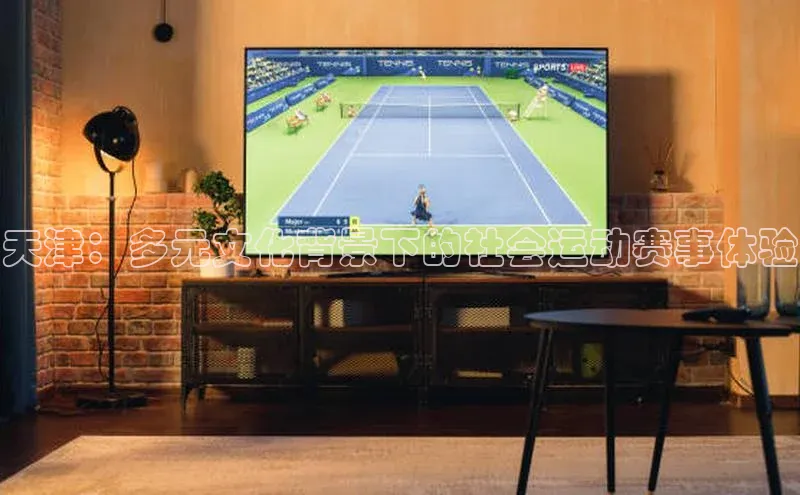 天津：多元文化背景下的社会运动赛事体验