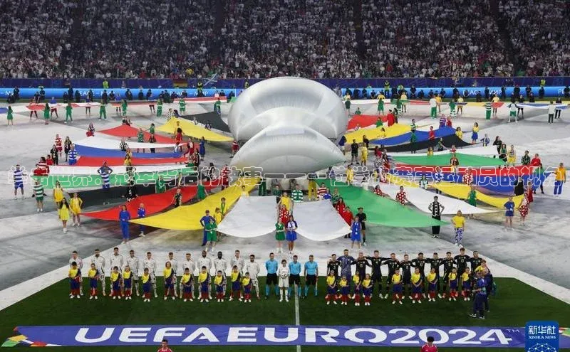 拳击世界：冠军背后的故事——一位拳击赛事运动员的视角