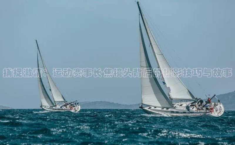 米兰app·体育登录入口