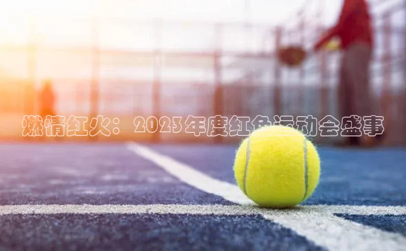 燃情红火：2023年度红色运动会盛事