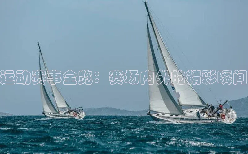 运动赛事全览：赛场内外的精彩瞬间
