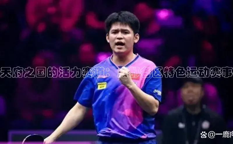 天府之国的活力赛道：成都各区特色运动赛事